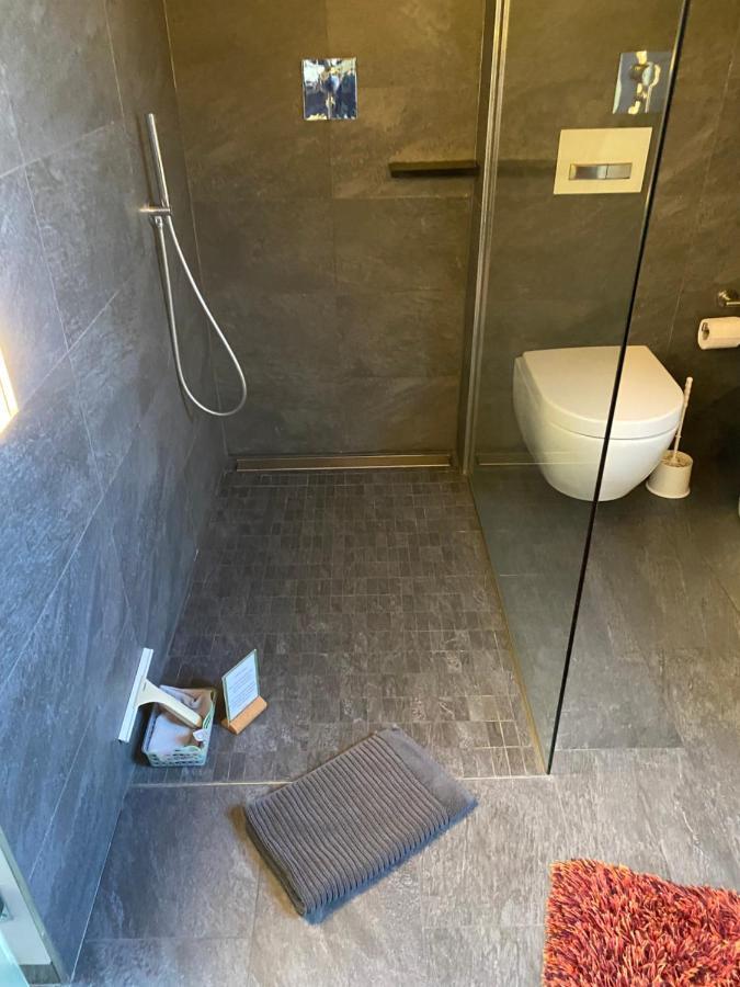 Apartment Mit Dachloggia Saarlouis Dış mekan fotoğraf